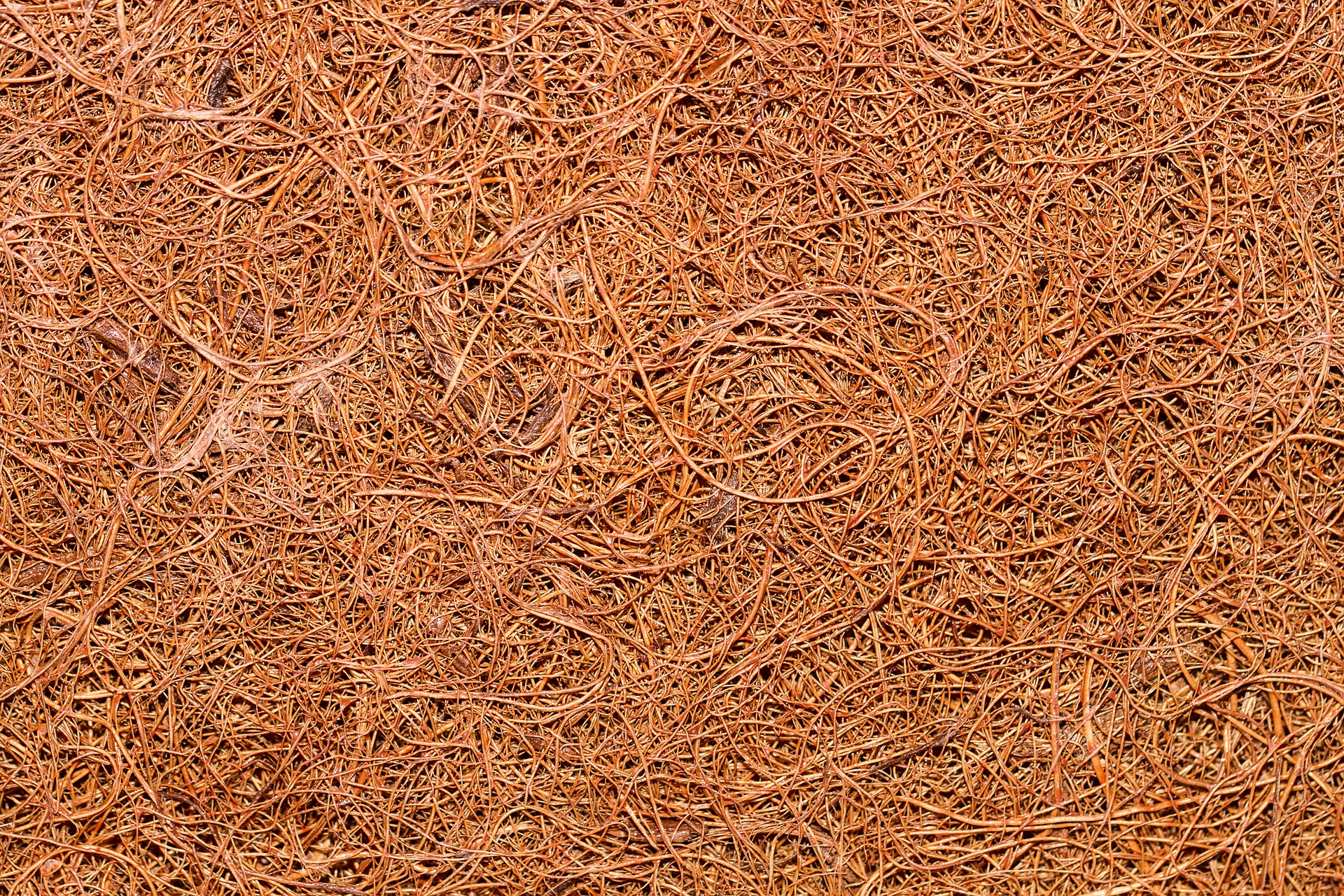 Bezkonkurenčné PR dosky.